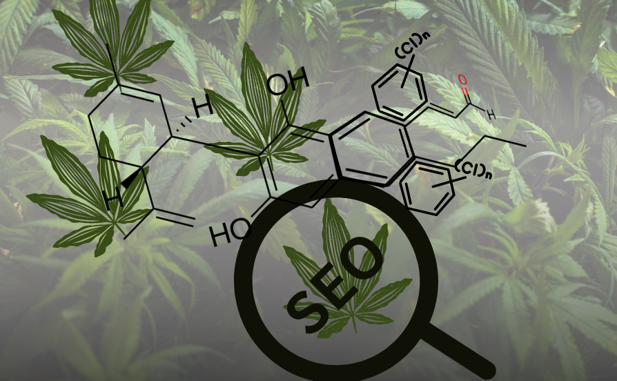 CBD SEO